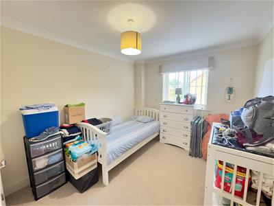Picture 10